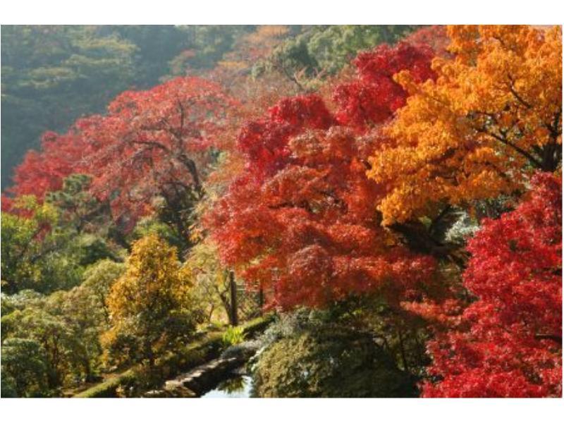 Atami Taikansou Dış mekan fotoğraf